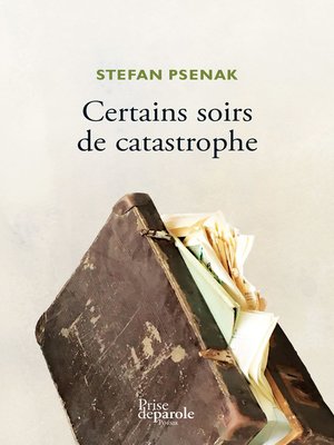 cover image of Certains soirs de catastrophe